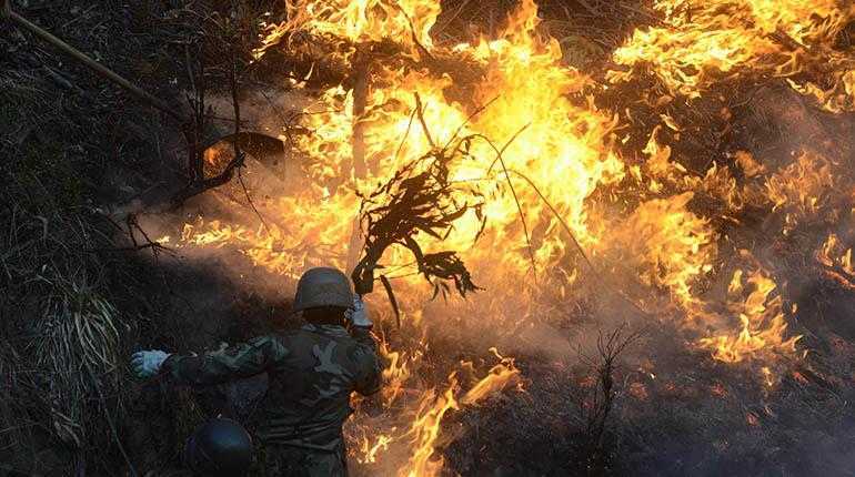 Incendio.Forestal.Los Tiempos. jpg