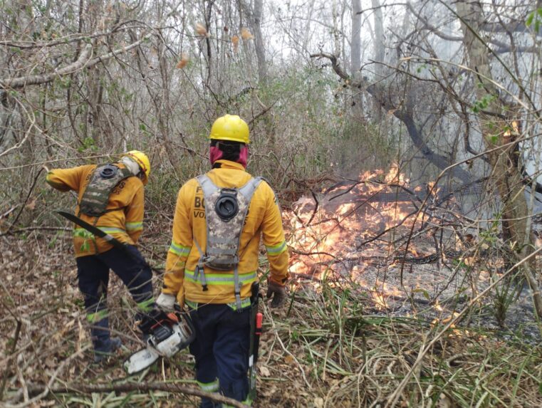 Incendio Foresta. Bomb. Fundasol